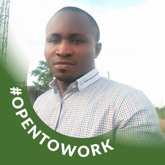 Sunday Levite Innocent (MNATE, MCIPEN, MNIEEE, MIPMA, HSE, COREN, PMP)